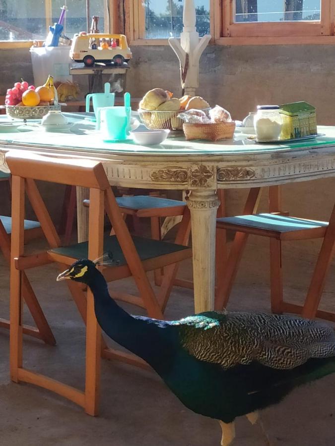 Finca La Pasionaria - Conectandonos Villa Belén de Escobar Buitenkant foto